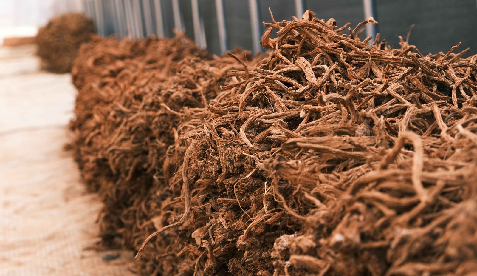 斩获全国银奖,这个团队让侠界奇药照见现实⁉️ 第 6 张 斩获全国银奖,这个团队让侠界奇药照见现实⁉️ 第 6 张